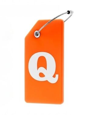 Gostwo Neon Orange Luggage Tags Set Of 2